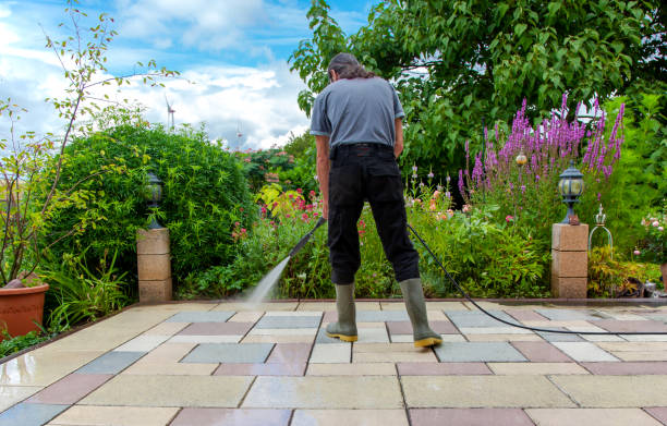 Best Sidewalk and Walkway Cleaning  in Mount Ora, OH
